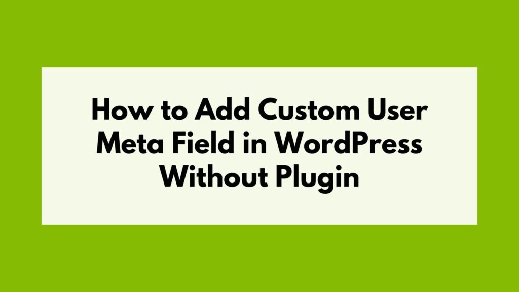 how to add custom meta field in wordpress without plugin